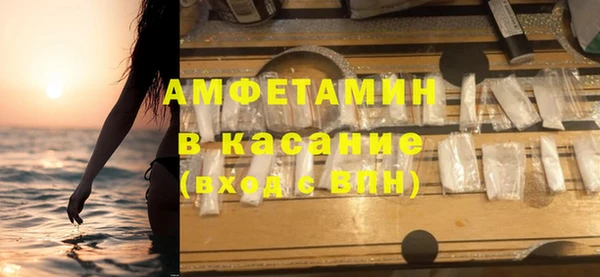 прущие грибы Тайга