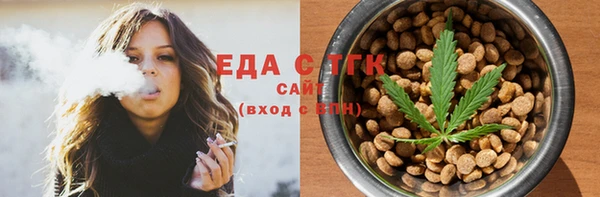 индика Сясьстрой