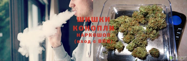 индика Сясьстрой