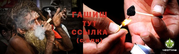 прущие грибы Тайга