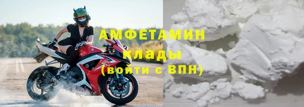 индика Сясьстрой