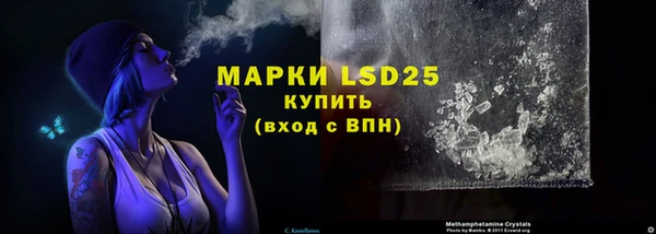 прущие грибы Тайга