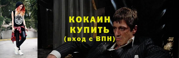 прущие грибы Тайга