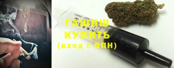 прущие грибы Тайга