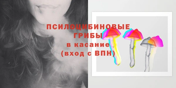 индика Сясьстрой