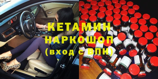 индика Сясьстрой