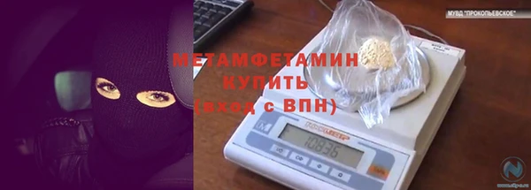 прущие грибы Тайга