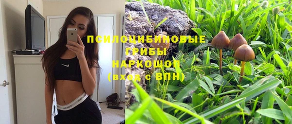 прущие грибы Тайга