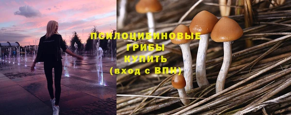 эйфоретик Тавда