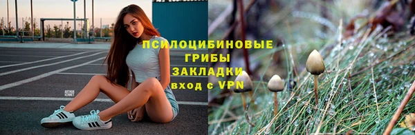 индика Сясьстрой