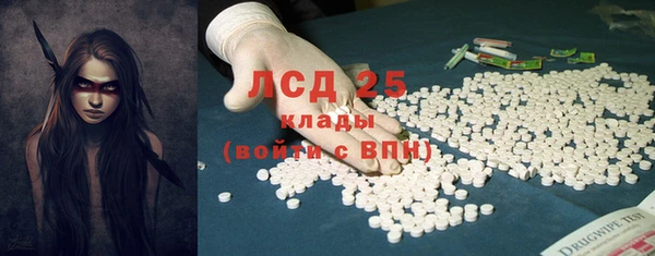 индика Сясьстрой