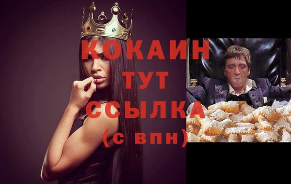 индика Сясьстрой