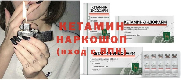 прущие грибы Тайга