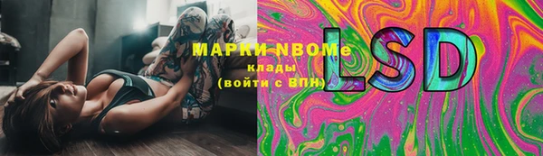 индика Сясьстрой