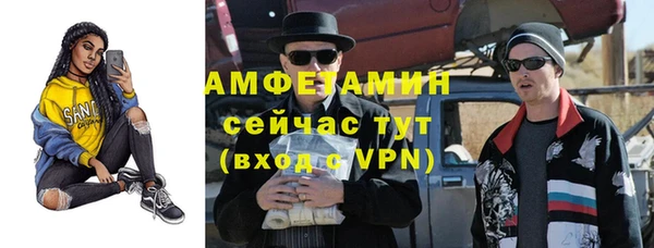 прущие грибы Тайга