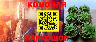 дживик Абинск