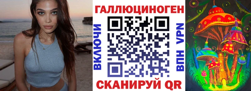 где купить наркоту  shop клад  Псилоцибиновые грибы Psilocybe  Александров 