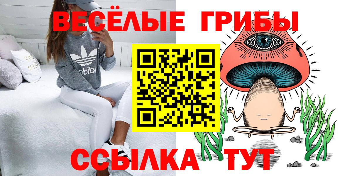Александров  Псилоцибиновые грибы MAGIC MUSHROOMS  Вход с VPN 