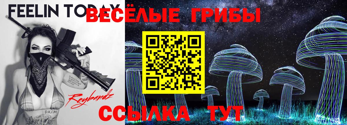 Галлюциногенные грибы Psilocybe Александров